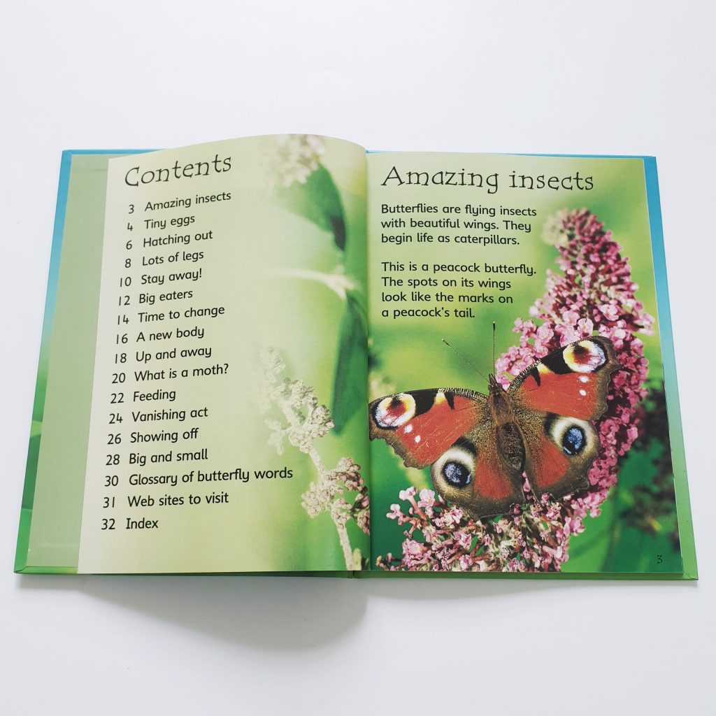 Usborne beginners nature box set collection 10 quyển