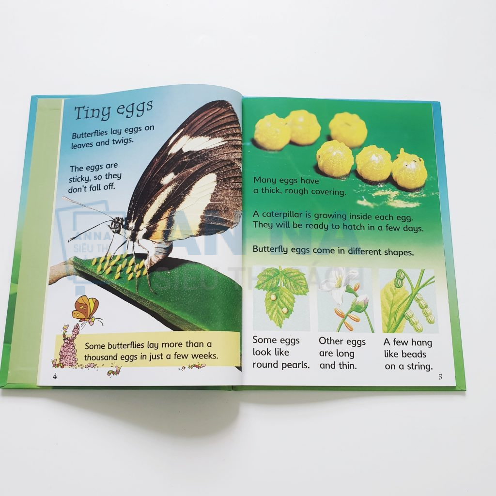 Usborne beginners nature box set collection 10 quyển